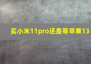 买小米11pro还是等苹果13