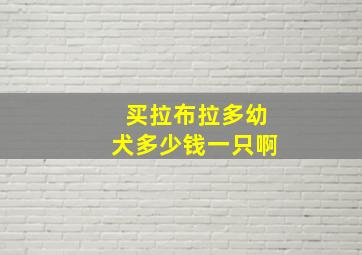 买拉布拉多幼犬多少钱一只啊