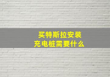 买特斯拉安装充电桩需要什么