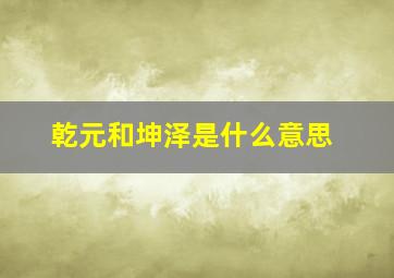 乾元和坤泽是什么意思