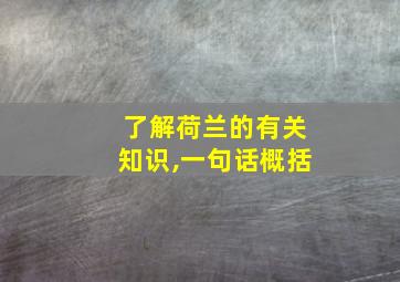 了解荷兰的有关知识,一句话概括