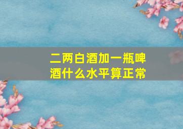 二两白酒加一瓶啤酒什么水平算正常