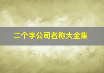 二个字公司名称大全集