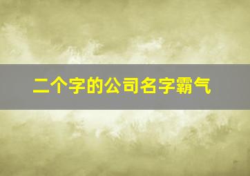 二个字的公司名字霸气