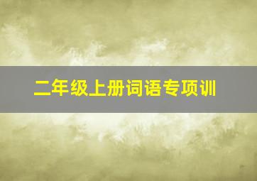 二年级上册词语专项训