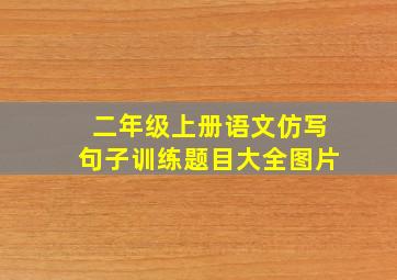 二年级上册语文仿写句子训练题目大全图片