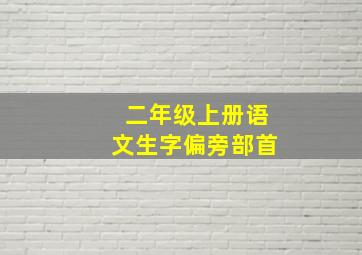 二年级上册语文生字偏旁部首