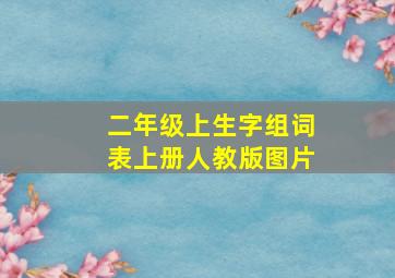 二年级上生字组词表上册人教版图片