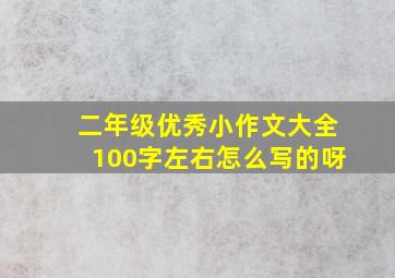 二年级优秀小作文大全100字左右怎么写的呀