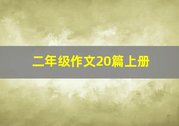 二年级作文20篇上册