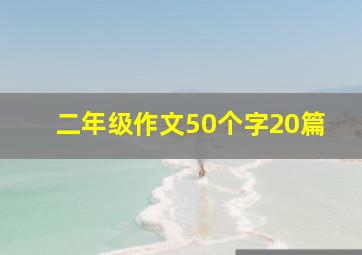 二年级作文50个字20篇