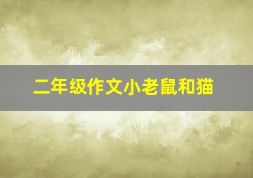 二年级作文小老鼠和猫