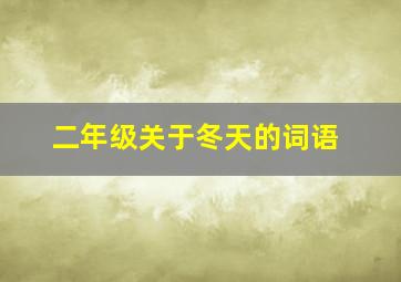 二年级关于冬天的词语