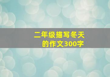 二年级描写冬天的作文300字