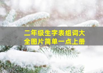 二年级生字表组词大全图片简单一点上册