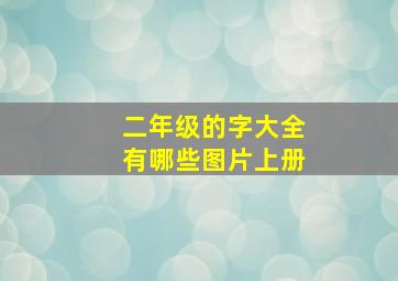 二年级的字大全有哪些图片上册