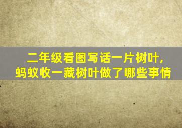 二年级看图写话一片树叶,蚂蚁收一藏树叶做了哪些事情