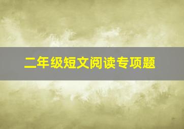 二年级短文阅读专项题