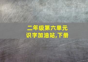 二年级第六单元识字加油站,下册