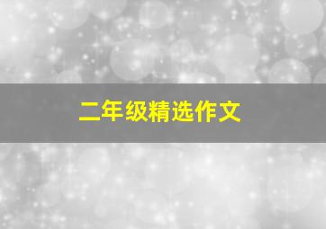 二年级精选作文