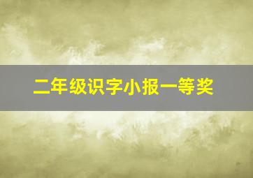 二年级识字小报一等奖