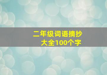 二年级词语摘抄大全100个字