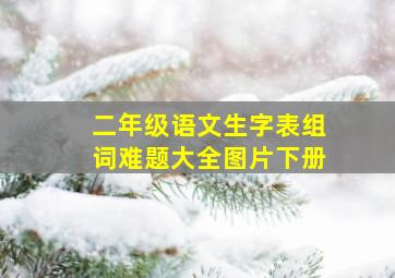 二年级语文生字表组词难题大全图片下册