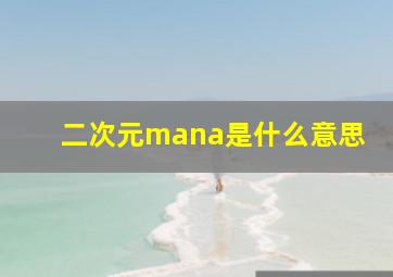 二次元mana是什么意思