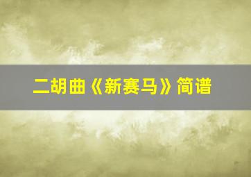 二胡曲《新赛马》简谱