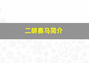 二胡赛马简介