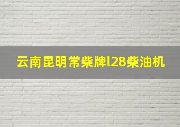 云南昆明常柴牌l28柴油机