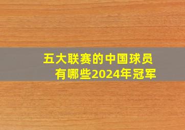 五大联赛的中国球员有哪些2024年冠军