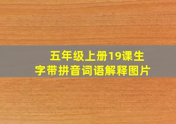 五年级上册19课生字带拼音词语解释图片