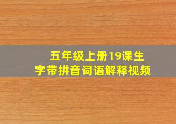 五年级上册19课生字带拼音词语解释视频