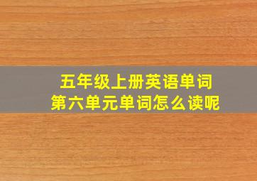 五年级上册英语单词第六单元单词怎么读呢