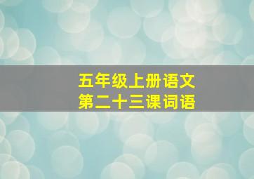 五年级上册语文第二十三课词语