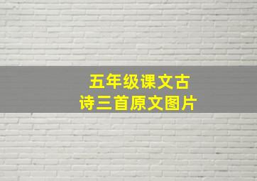 五年级课文古诗三首原文图片