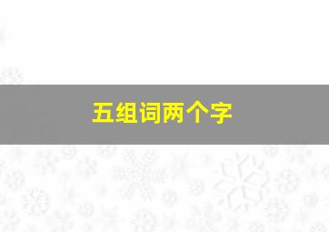 五组词两个字