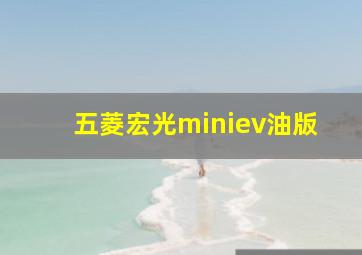 五菱宏光miniev油版