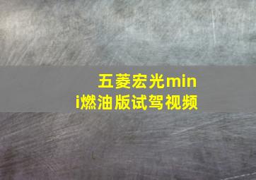 五菱宏光mini燃油版试驾视频