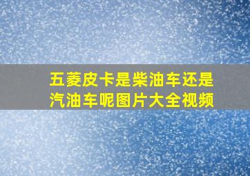 五菱皮卡是柴油车还是汽油车呢图片大全视频