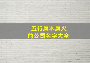 五行属木属火的公司名字大全