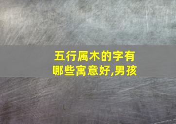 五行属木的字有哪些寓意好,男孩