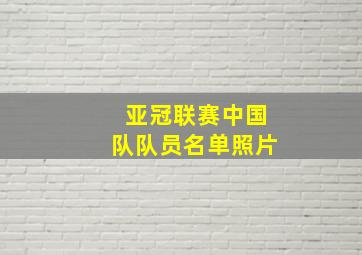 亚冠联赛中国队队员名单照片