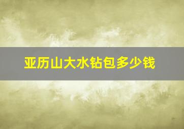 亚历山大水钻包多少钱