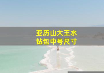 亚历山大王水钻包中号尺寸