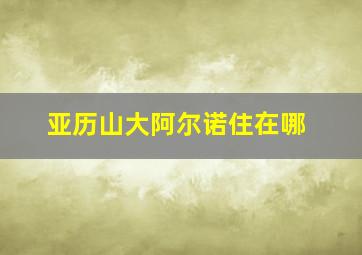 亚历山大阿尔诺住在哪