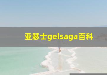 亚瑟士gelsaga百科