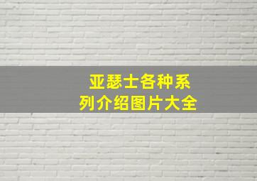 亚瑟士各种系列介绍图片大全