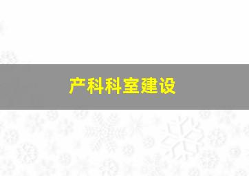 产科科室建设